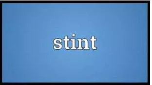 Stint  - A period of time spent doing a particular job or activity.