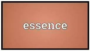 Essence  - He most important quality or feature of something that makes it what it is.