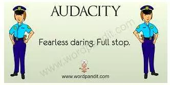 Audacity  - Behaviour that is brave but likely to shock or offend people.