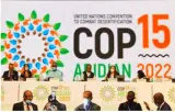 Cop15  lack of political leadership leaves crucial nature summit ‘in peril’  warn ngos