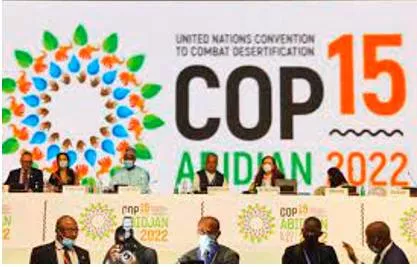 Cop15  lack of political leadership leaves crucial nature summit ‘in peril’  warn ngos