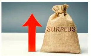 Surplus  - An amount that is extra or more than you need.