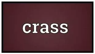 Crass   - Very stupid and showing no sympathy or understanding.