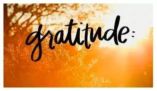 Gratitude & happiness