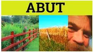 Abut  - Touch or lean on.