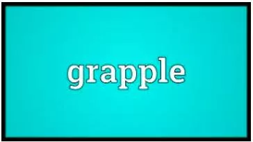 Grapple  - To try hard to find a solution to a problem.