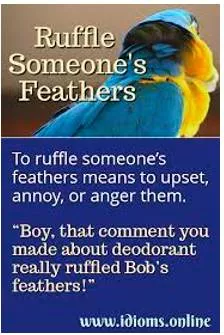 Ruffle feathers  - To upset, annoy and anger someone.
