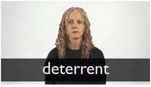 Deterrent  - A thing that discourages or is intended to discourage someone from doing something.