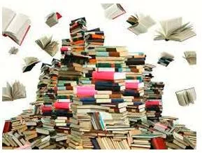 Plethora  - An amount that is greater than is needed or can be used.