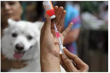World zoonosis day | indian immunologicals launches nationwide anti rabies vaccine drive