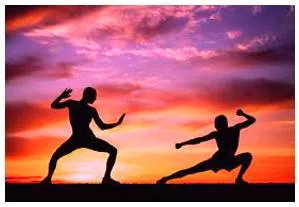 Adversary  - A person that somebody is opposed to and competing with in an argument or a battle.