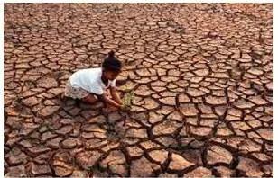 Famine  what is it  where will it strike and how should the world respond 