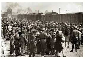 Holocaust  - A situation in which many things are destroyed and many people killed, especially because of a war or a fire.