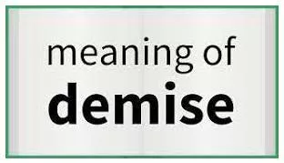 Demise  - the end or failure of a Human, institution, an idea, a company, etc.