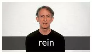 Rein meaning
