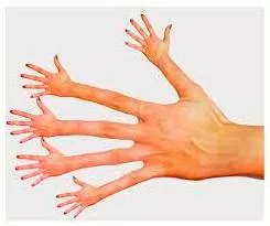 Bizarre  - Very strange or unusual.