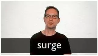 Surge  - A sudden increase of a strong feeling.