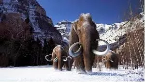 Mammoth   - Huge.