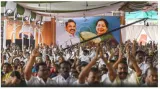 Two leaves  one leader  and a party reborn