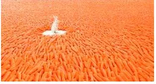 Abundant  - More than enough.