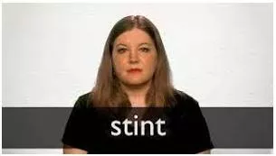 Stint  - A period of time that you spend working somewhere or doing a particular activity.