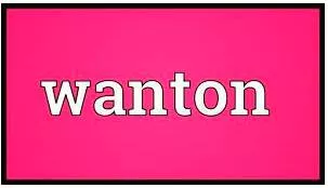 Wanton  - Causing harm or damage deliberately and for no acceptable reason.