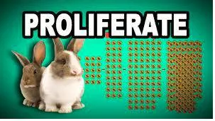 Proliferate - The sudden increase in the number or amount of something; a large number of a particular thing.