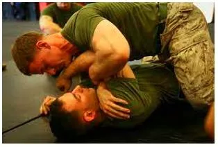 Grapple meaning