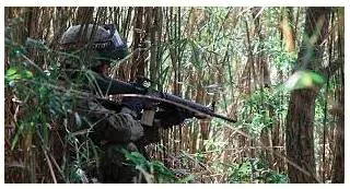 Ambush meaning