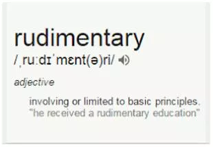 Rudimentary  - Dealing with only the most basic matters or ideas.