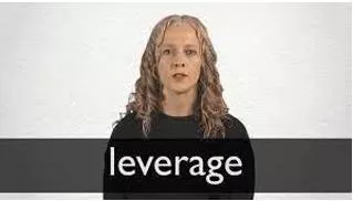Leverage  - To get as much advantage or profit as possible from something that you have.