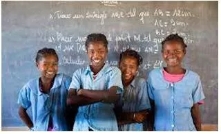 Adolescent  - A young person who is developing from a child into an adult.