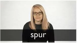 Spur - To encourage somebody to do something or to encourage them to try harder to achieve something.