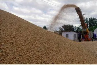 Turkey  ukraine grain export deal to be signed in istanbul