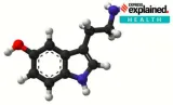 Explained  new study that suggests depression is not caused by serotonin imbalance in brain