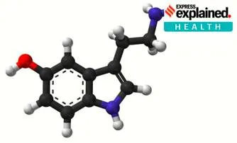 Explained  new study that suggests depression is not caused by serotonin imbalance in brain