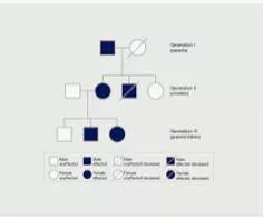 Pedigree meaning