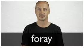 Forays - A short sudden attack made by a group of soldiers.