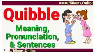 Quibble  - A slight objection or criticism about a trivial matter.