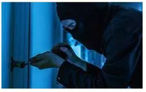 Intrusion  - Something that affects a situation or people’s lives in a way that they do not want.