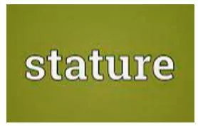Stature  - The importance and respect that a person has because of their ability and achievements.