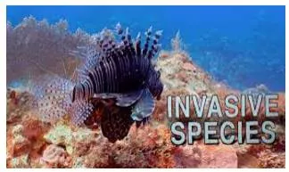 Invasive  - Tending to infringe.