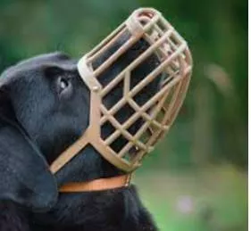 Muzzle  - To prevent somebody from expressing their opinions in public as they want to.