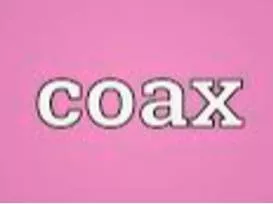 Coax  - To persuade somebody to do something by talking to them in a kind and gentle way.
