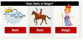 Rein meaning