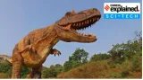 Dinosaur footprints in china  the discovery and its importance