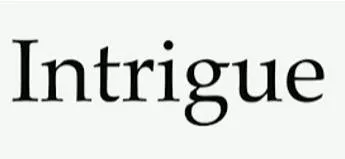 Intrigue meaning