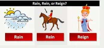 Rein meaning