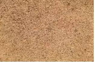 Granular meaning