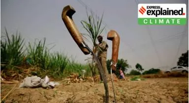 Explained  why drought is looming over uttar pradesh  jharkhand and bihar